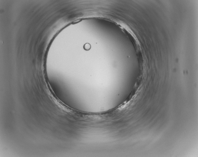 X0000072931197200608111527