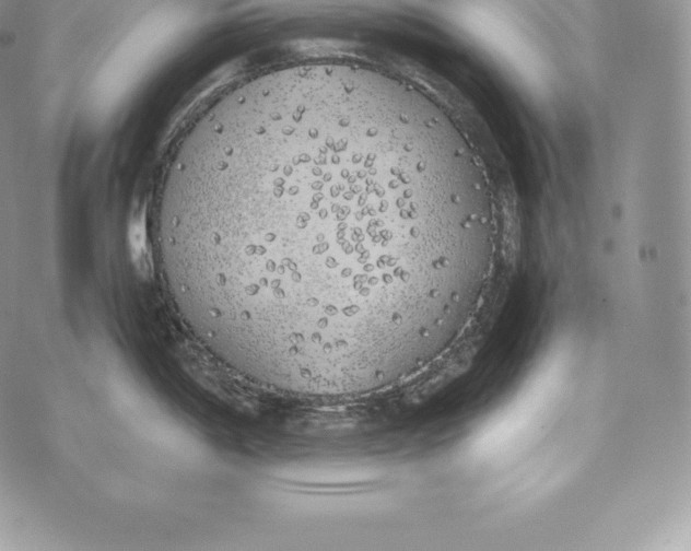 X0000072931198200608111527