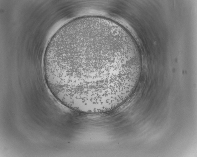 X0000072931199200608111527