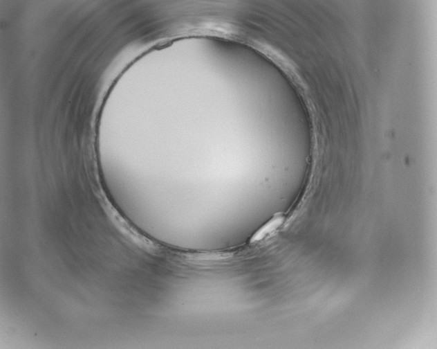 X0000072931200200608111527