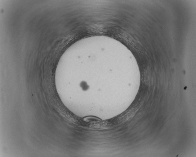 X0000072931201200608111527