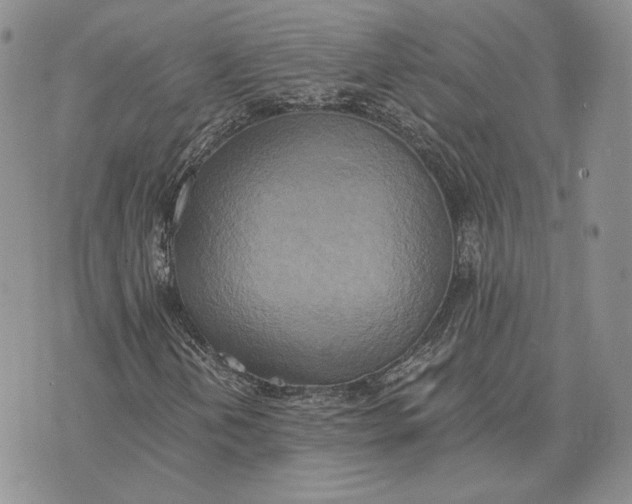 X0000072931202200608111527