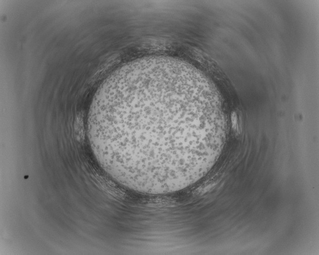 X0000072931203200608111527