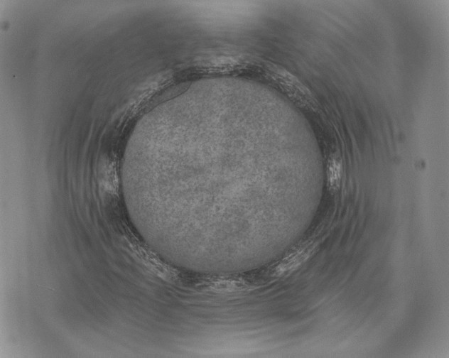 X0000072931204200608111527