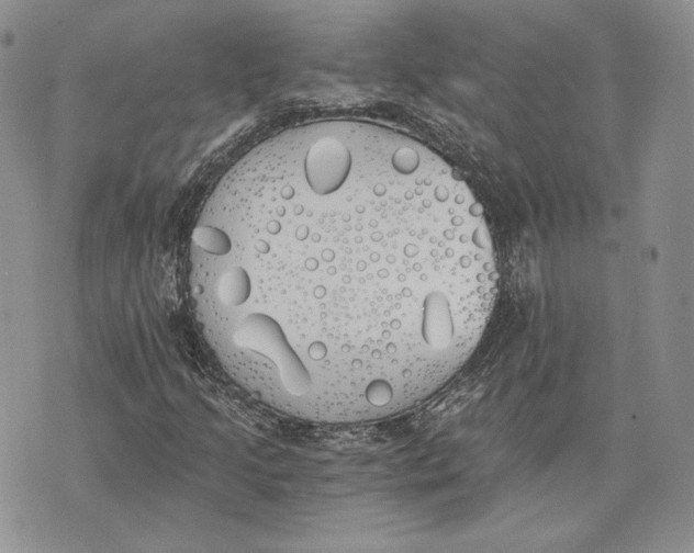 X0000072931205200608111527