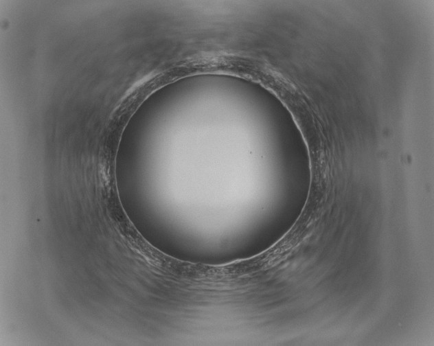 X0000072931206200608111527