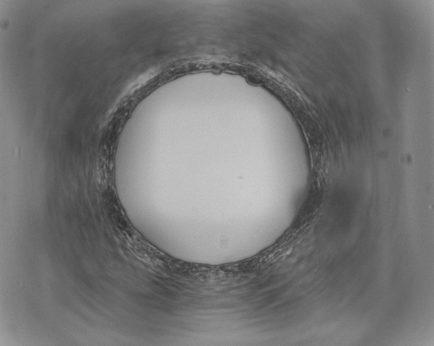 X0000072931207200608111527