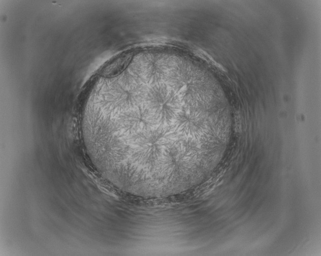 X0000072931208200608111527