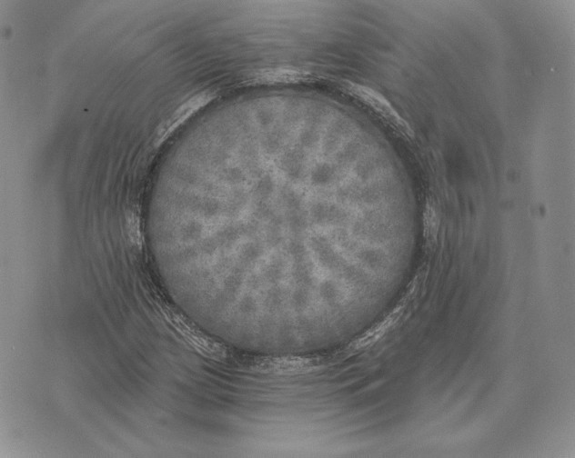 X0000072931209200608111527