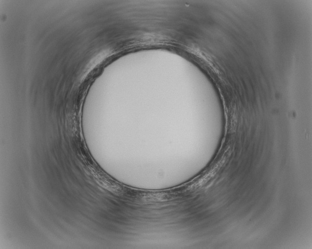 X0000072931211200608111527