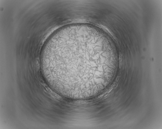 X0000072931212200608111527