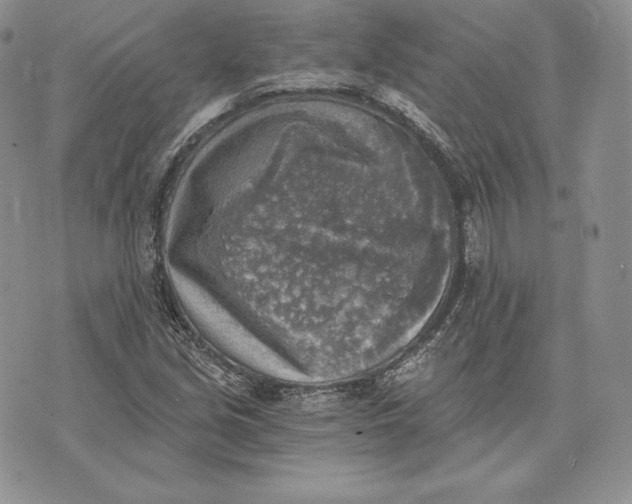 X0000072931213200608111527