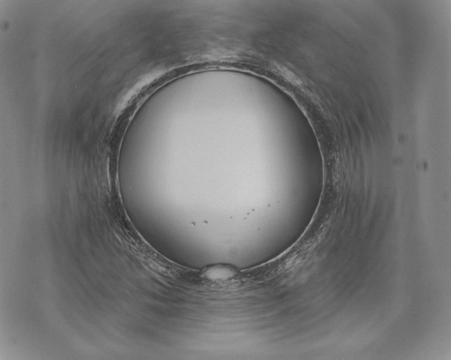 X0000072931214200608111527