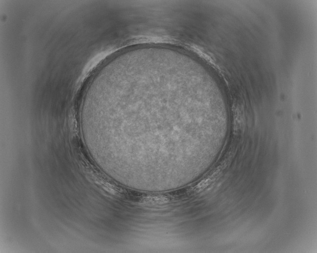 X0000072931215200608111527