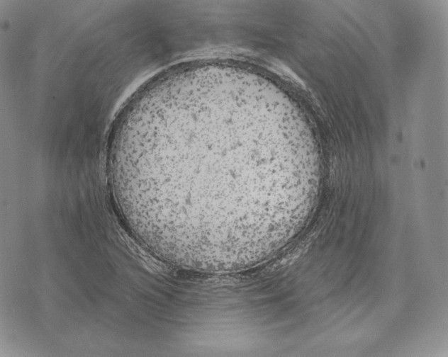 X0000072931216200608111527