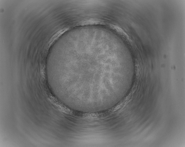 X0000072931217200608111527