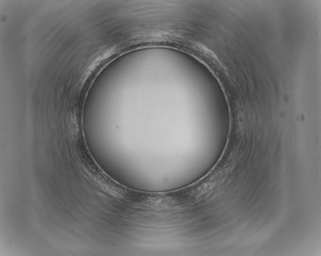 X0000072931218200608111527