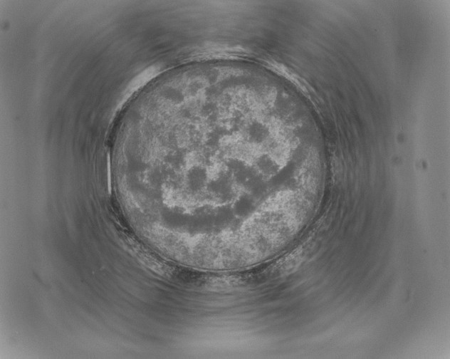 X0000072931219200608111527