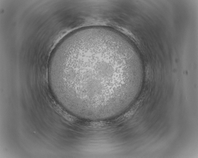 X0000072931220200608111527