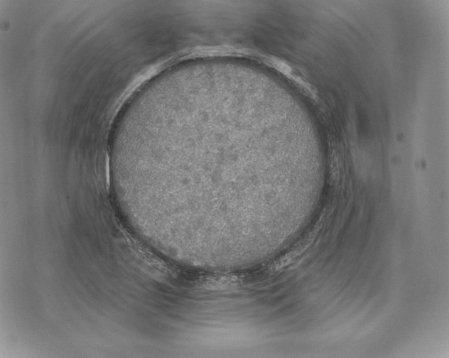 X0000072931221200608111527