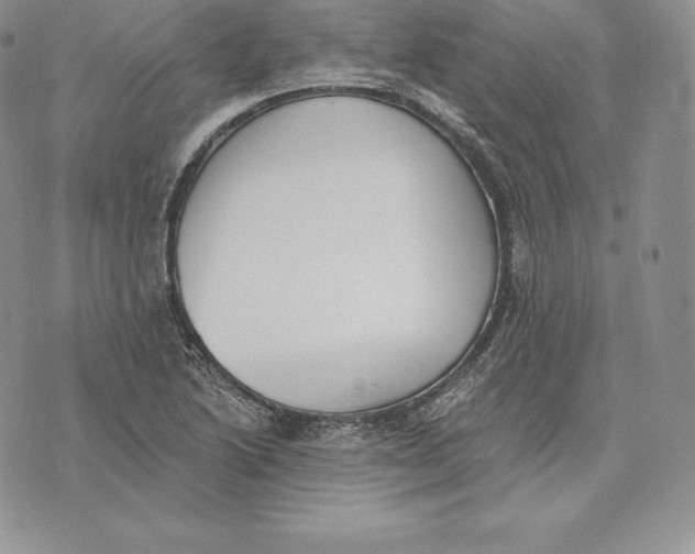 X0000072931222200608111527