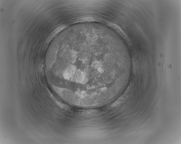 X0000072931225200608111527