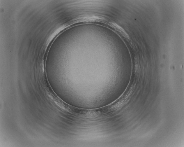 X0000072931226200608111527