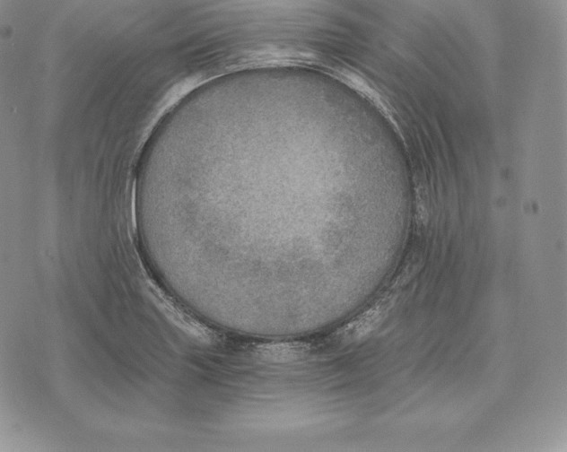 X0000072931227200608111527