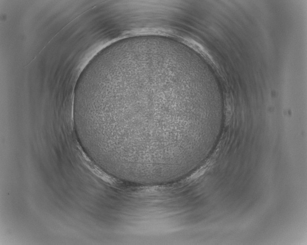 X0000072931228200608111527