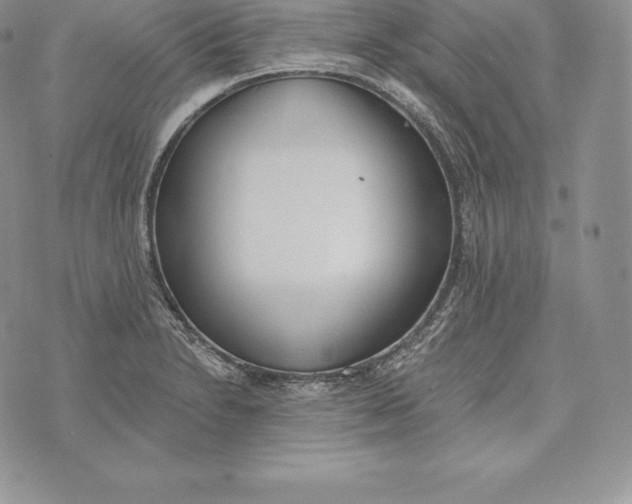 X0000072931230200608111527