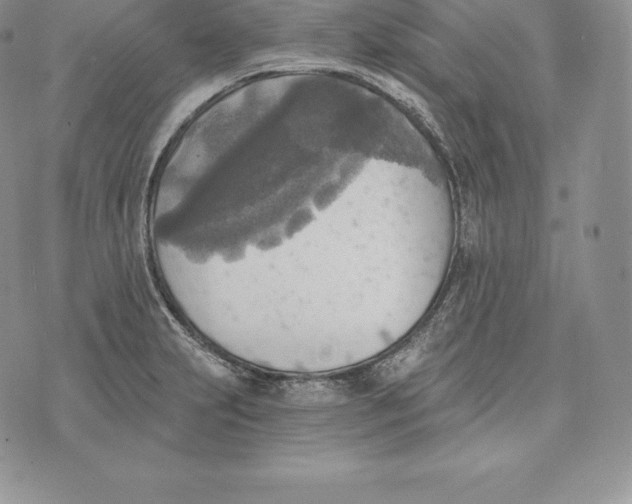 X0000072931231200608111527