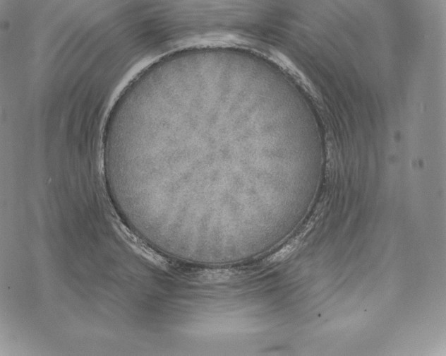 X0000072931232200608111527