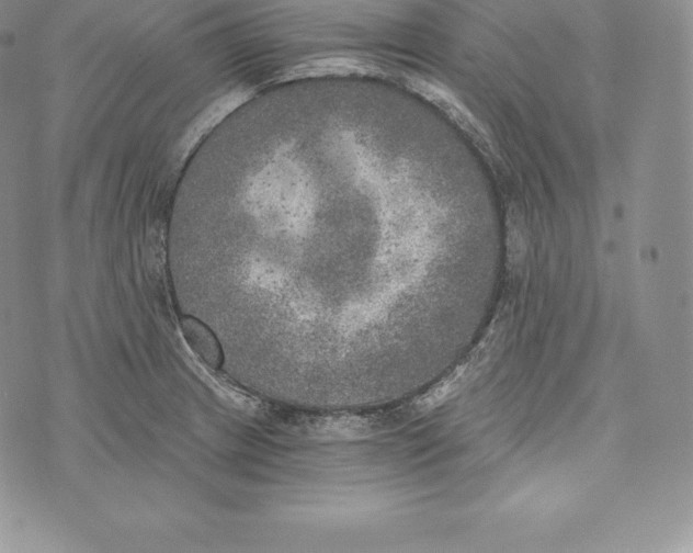 X0000072931233200608111527