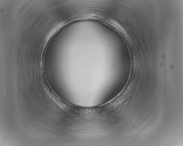 X0000072931234200608111527