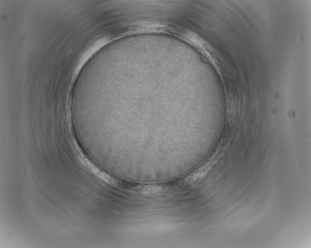 X0000072931235200608111527