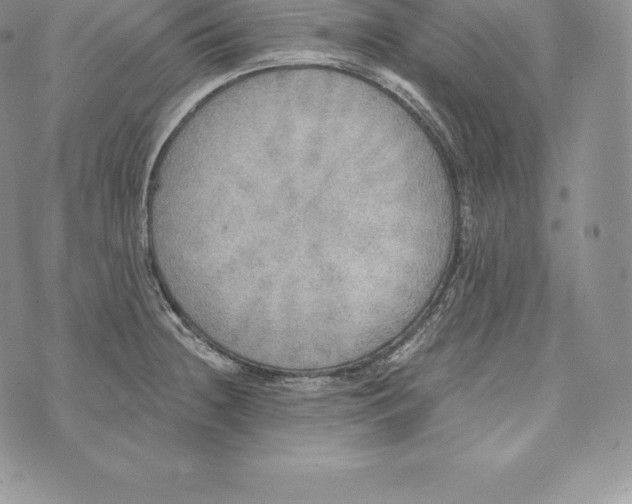 X0000072931236200608111527