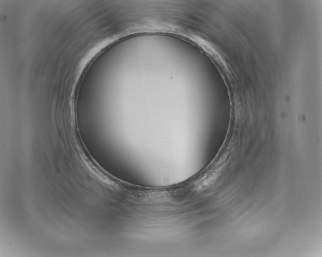 X0000072931238200608111527