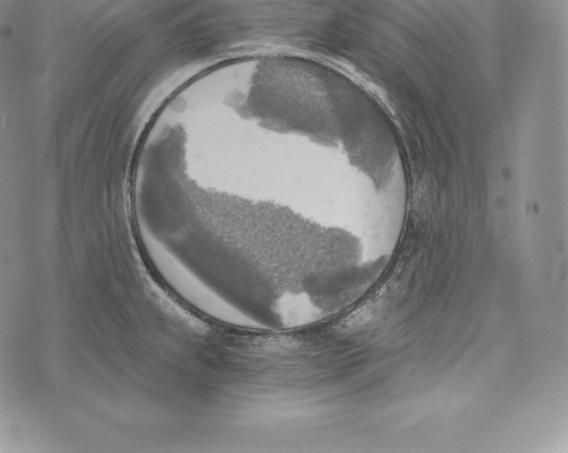 X0000072931239200608111527