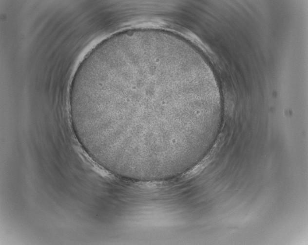 X0000072931240200608111527