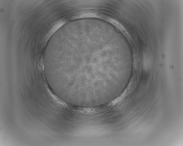 X0000072931241200608111527