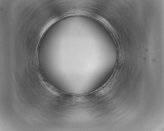 X0000072931242200608111527