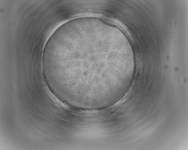 X0000072931244200608111527