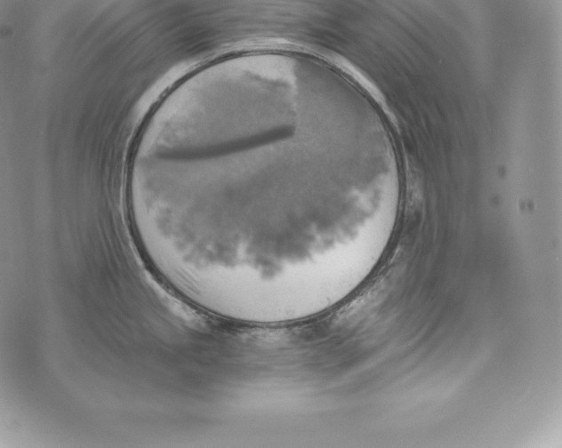 X0000072931245200608111527