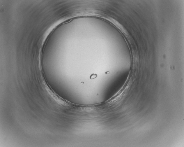 X0000072931246200608111527