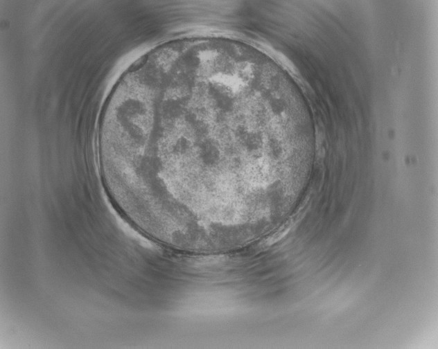 X0000072931247200608111527