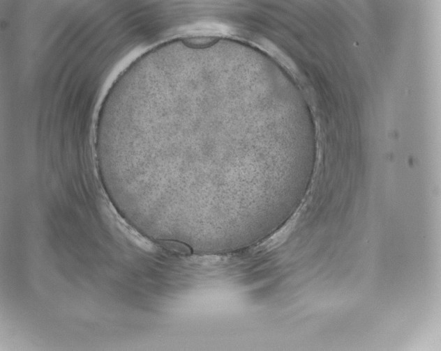 X0000072931248200608111527