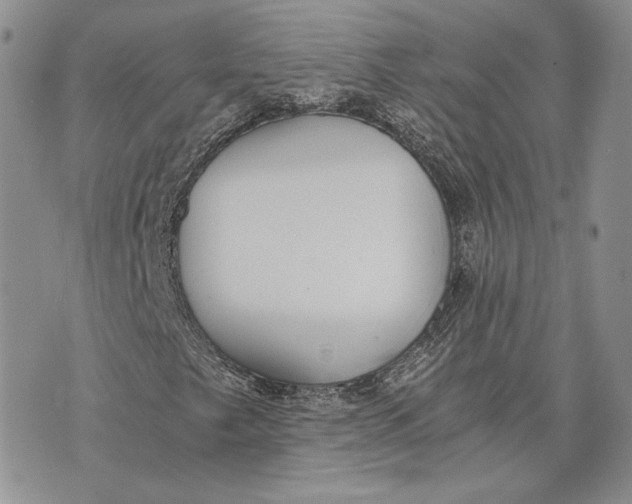 X0000072931249200608111527