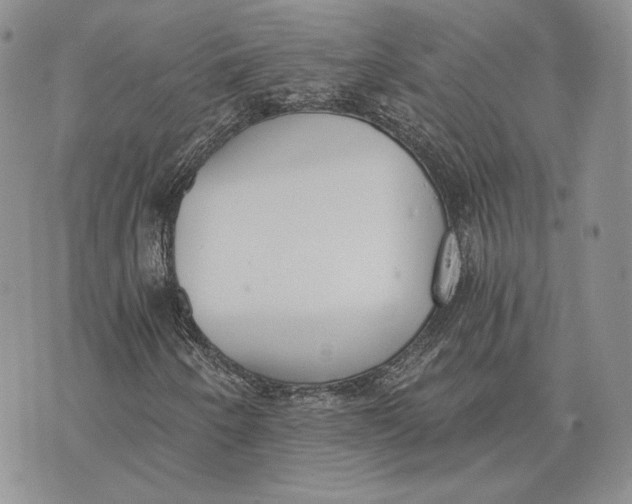 X0000072931250200608111527