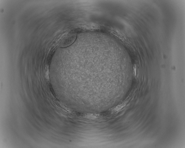 X0000072931251200608111526