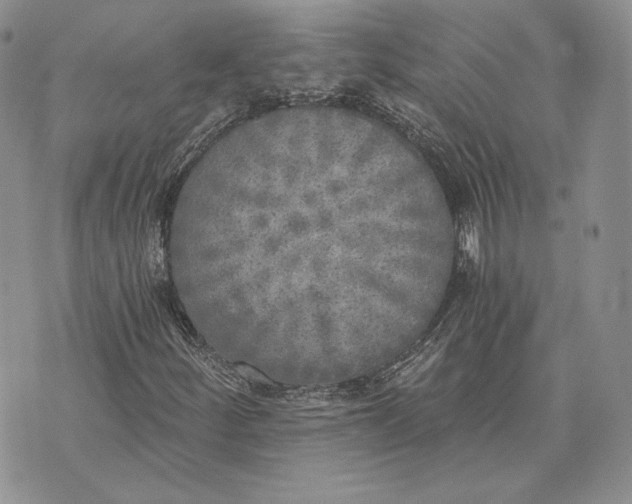 X0000072931252200608111526